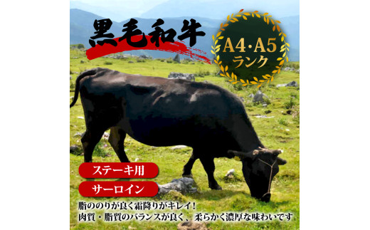 【定期6回】土佐黒毛和牛サーロインステーキ 計2.64kg【440g×6ヶ月連続お届け】 2Sコース