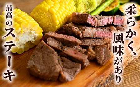 ＜熟成肉 はなが牛 ロースステーキ 5枚（1枚200g）＞ 牛肉 牛 肉 ろーすすてーき ステーキ サーロイン ブランド牛 鉄板焼き 焼き肉 焼肉 バーベキュー BBQ 国産 小分け 特産品 愛媛県 
