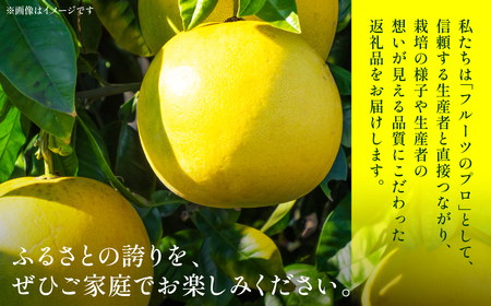 【先行予約】 晩白柚（秀2Ｌ×2玉）約4kg 柑橘 果物 フルーツ 熊本県産 ばんぺいゆ フルーツ 柑橘 特産品【2025年12月上旬より順次発送】