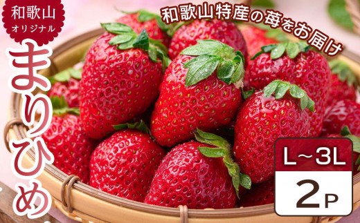 
                  [先行予約] 和歌山県 オリジナル まりひめ イチゴ 2パック入り（3L～L寸）
                