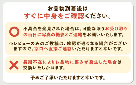 伊木力みかん10kg 温州みかん 10kg AHBD001