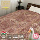 【ふるさと納税】羽毛布団 ダブルサイズ ハンガリー産WDD93% 1.8kg入り ピンク1枚 N-RV-2025DPI｜日本製 花粉対策 敬老の日 お歳暮 御歳暮 贈答品 ギフト 誕生日プレゼント 贈り物 父の日 母の日 寒中見舞い クリスマス お見舞 [1216]