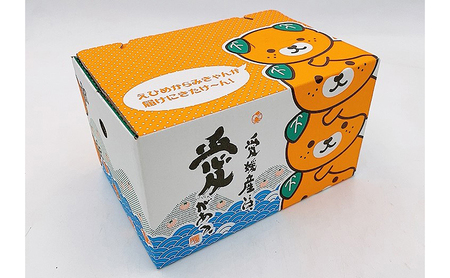 梅 七折小梅(生梅) 4kg 【5月中旬から6月下旬まで順次発送】 / 先行予約 梅干し 梅酒 梅ジュース 梅シロップ / 愛媛県砥部町/株式会社フジ・アグリフーズ [BJBI012]