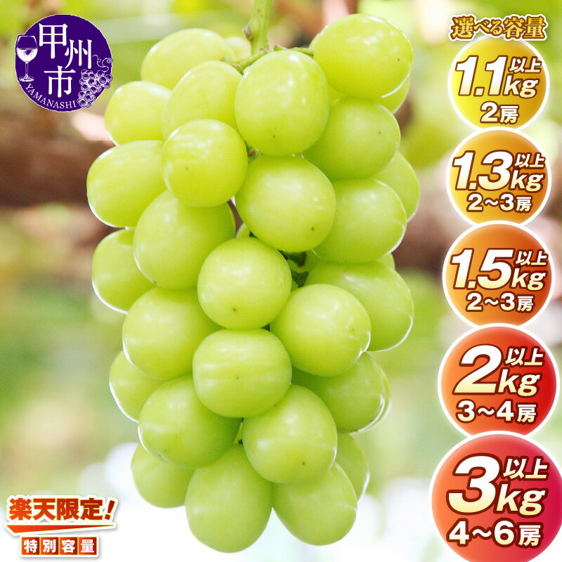 2023年先行予約 甲州市産 旬の採れたてシャインマスカット 1.2kg以上(2~3房)