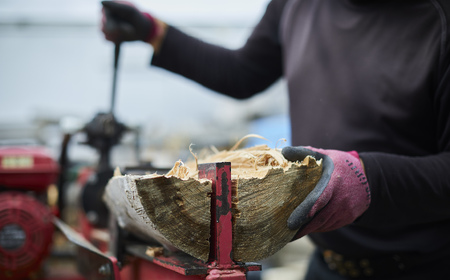 【りんごの木】乾燥薪 10kg キャンプ 焚き火 薪