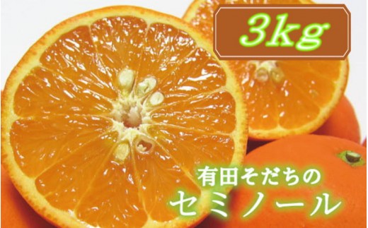 
                  有田育ちの爽快セミノールオレンジ(ご家庭用)　約3kg+200g(補償分)　【2027年4月上旬～5月下旬頃に順次発送予定】【ard024A】
                