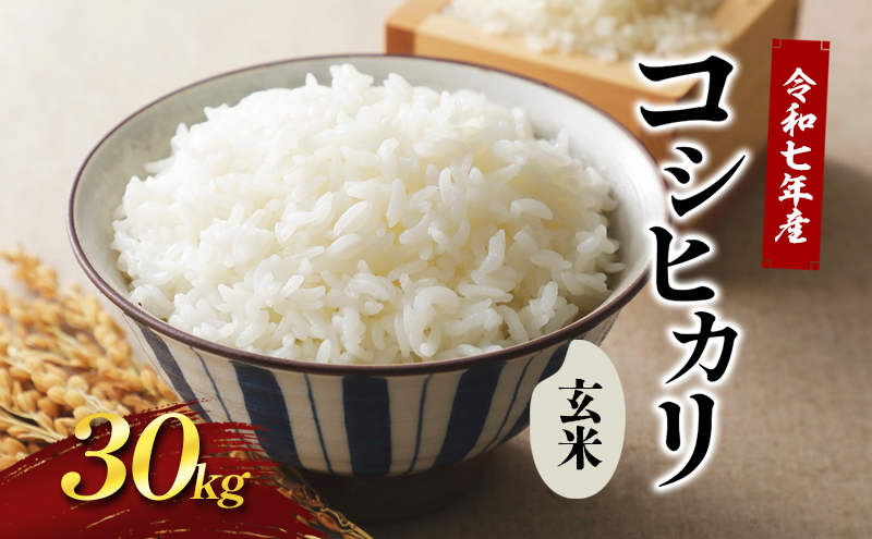 令和7年新米 國方さんの「コシヒカリ」30kg（玄米） 米 玄米 コシヒカリ 新米 