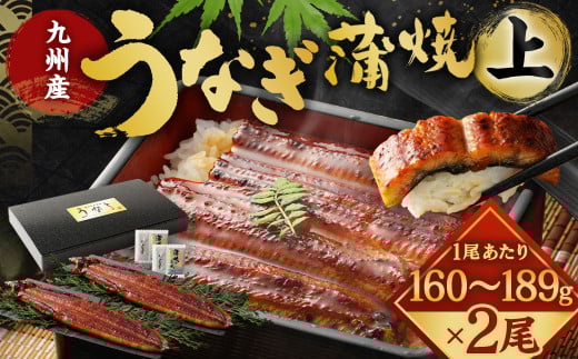 九州産 うなぎ 蒲焼 上 2尾 (1尾あたり160～189g)【2025年10月発送】