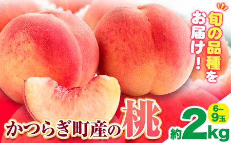 【先行予約】桃 かつらぎ町産桃 約2kg