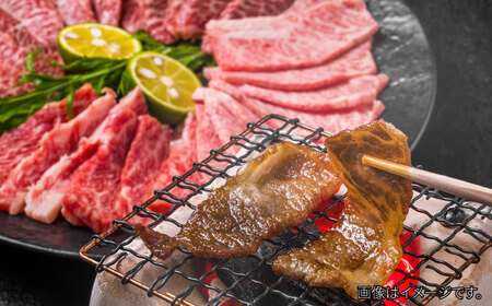 【和牛の旨味を堪能！】博多和牛 牛肉 焼肉 500g＜株式会社MEAT PLUS＞那珂川市  牛肉 肉 黒毛和牛 ブランド牛 国産  BBQ バーベキュー 焼肉 牛焼肉 牛肉 和牛 博多和牛  170