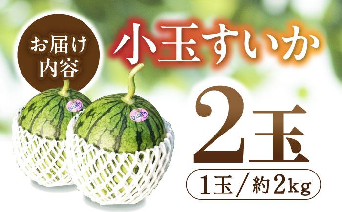 【数量限定】【先行予約】小玉 すいか 2玉【合同会社 福福堂】 [ZCN005]
