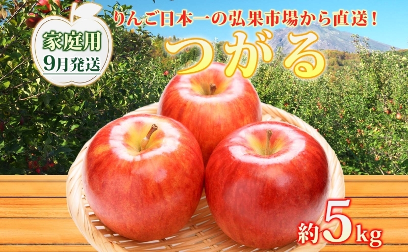 
            【9月発送】家庭用 つがる 約5kg【西目屋村産・青森りんご】 りんご 林檎 リンゴ 果物 フルーツ くだもの 旬 青森県産 お取り寄せ 詰め合わせ セット 常温 産地直送 送料無料 青森県 西目屋村
          