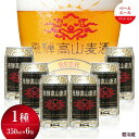 【ふるさと納税】飛騨高山麦酒 ペールエール 6缶セット 350ml×6本 地ビール ビール 麦酒 クラフトビール 飛騨高山 缶ビール TR3386