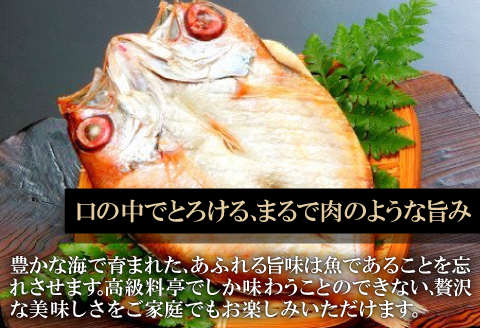 のどぐろ一夜干【5尾】（N50LF）【3回定期便】【定期便 のどぐろ 干物 5尾 3回 合計15尾 のどぐろ一夜干し のどぐろ干物 ノドグロ のど黒 個包装 真空パック 冷凍 セット 詰め合わせ 島根