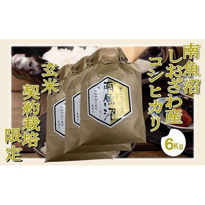 【ふるさと納税】【令和7年産】【玄米6Kg】●玄米● 生産者限定 南魚沼しおざわ産コシヒカリ【2025年10月上旬より順次発送予定】 | お米 こめ 食品 コシヒカリ 人気 おすすめ 送料無料 魚沼 南魚沼 南魚沼市 新潟県 玄米 産直 産地直送 お取り寄せ
