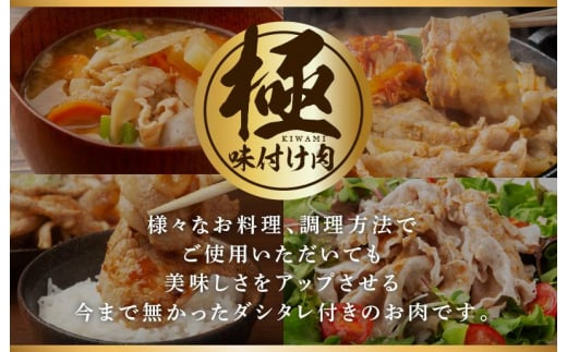 味付け肉 国産 豚肉 切り落とし 3.6kg 400g×9パック 訳あり 部位不揃い CFX0007