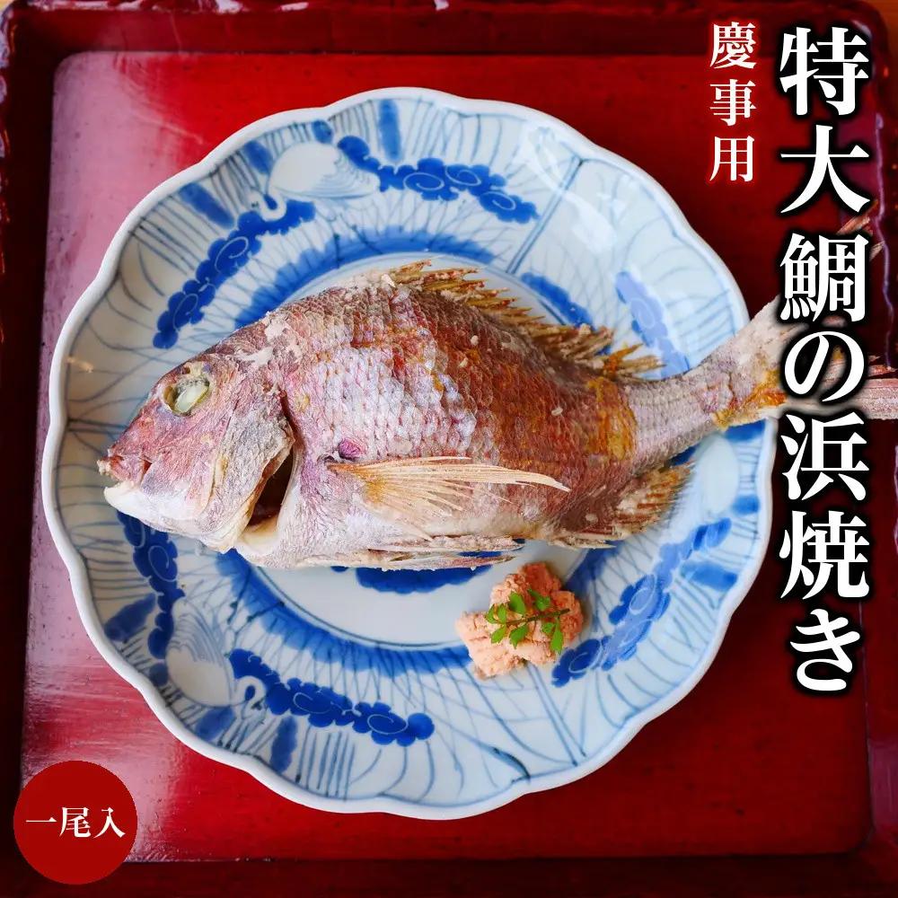 慶事用 特大 鯛の浜焼き 一尾入