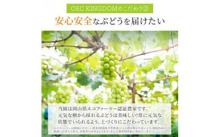 ぶどう 2024年 先行予約 ［ご家庭用］ シャイン マスカット3～5房（合計2kg以上） ブドウ 葡萄  岡山県産 国産 フルーツ 果物 OEC KINGDOM ぶどう家 [No.5220-0534