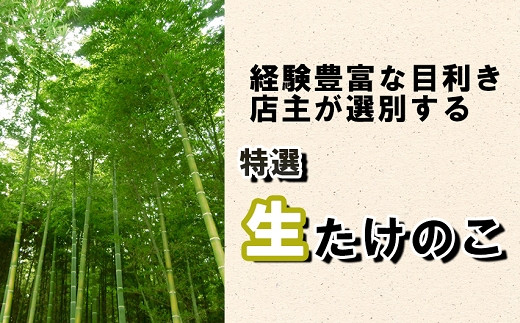 【先行受付】特選 生たけのこ 2kg予約 4月上旬発送 熊本県 南関町産 春 筍