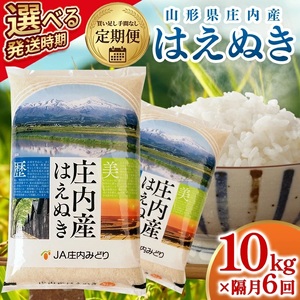 【隔月定期便】庄内産はえぬき10kg×6回隔月中旬発送 計60kg(8月～隔月6回) [1503T08]