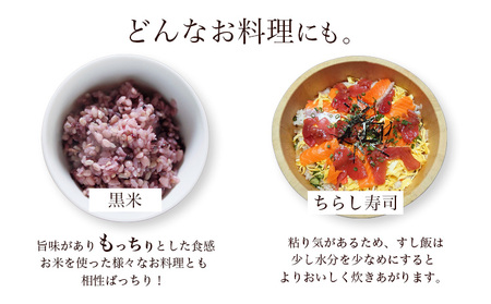 【令和7年度産】元気つくし 9kg 1袋3kg入り わだち農場《30日以内に出荷予定(土日祝除く)》福岡県 鞍手郡 鞍手町 米 コメ 元気つくし 袋 ちらし寿司 こめ