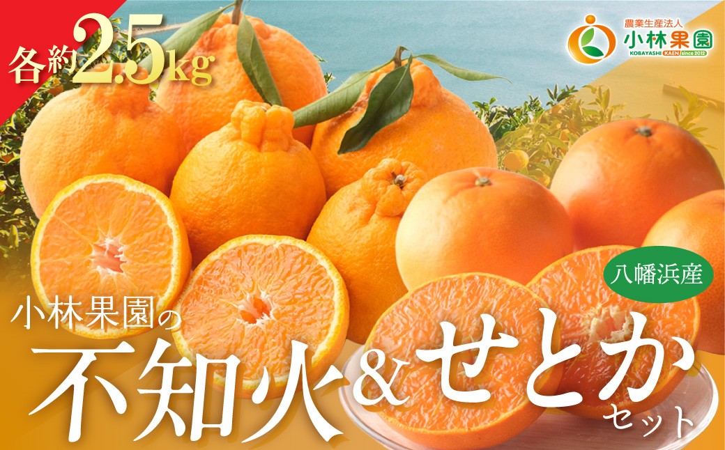 
                  【先行受付】小林果園のせとか&不知火セット(各約2.5kg入)【C24-21】 YWTAD014
                