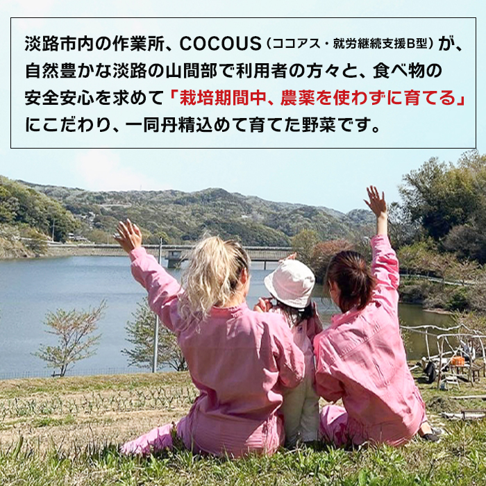 淡路島産 新玉ねぎ 10kg【栽培期間中、無農薬栽培】【訳あ