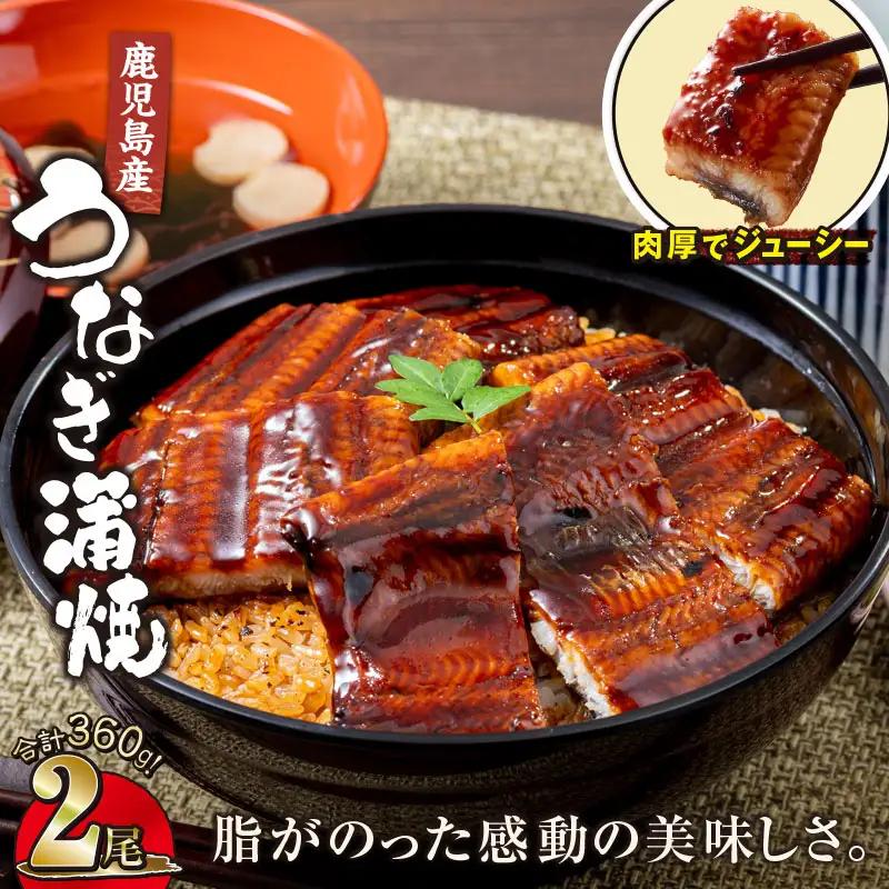 【 土用の丑の日特集 】 1284-3鹿児島産うなぎ 合計360g（180g×2尾） KN021-015-02 鰻 魚 惣菜 総菜