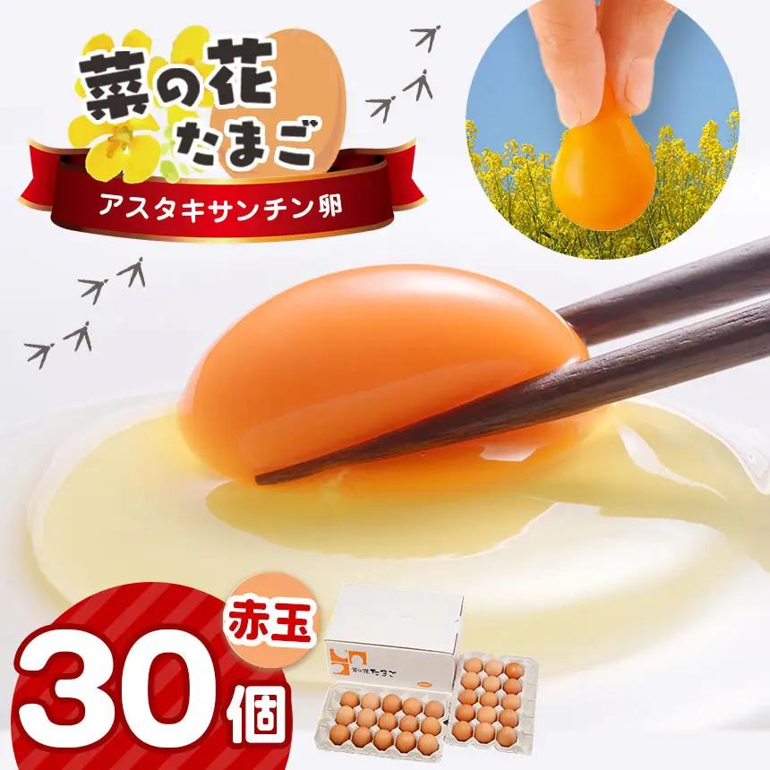 たまご 赤玉 食べ比べ 便 4回 定期便 食べ比べ 君津市産 卵 10月以降順次発送開始 |  菜の花エッグ アスタキサンチン卵 菜の花たまご 三枝農場 赤玉 保坂農場 光永ファーム 卵 タマゴ 玉子