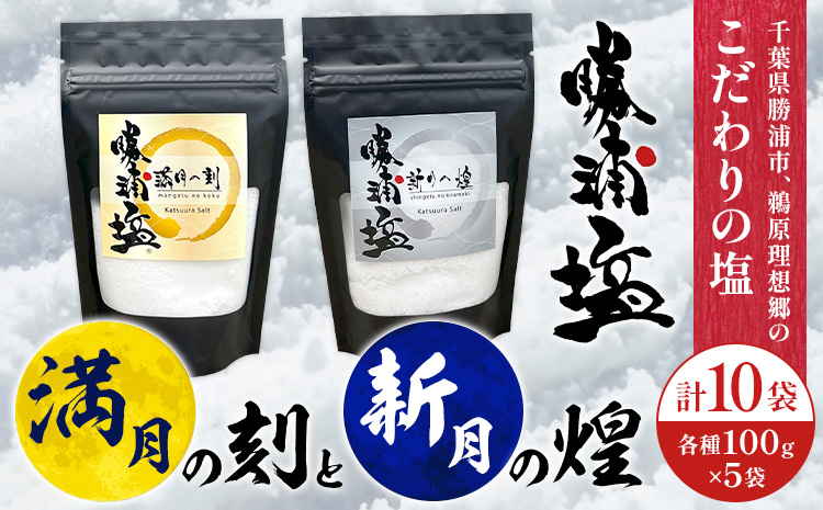 千葉県 勝浦市 満月の刻 100g と 新月の煌 100g 各5袋 セット 【配送不可地域あり】 《30日以内に出荷予定(土日祝除く)》 塩 勝浦塩 調味料