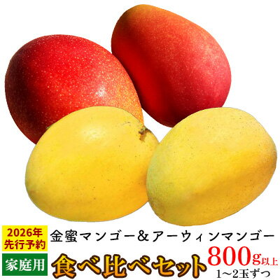 【ふるさと納税】【2026年 先行予約】金蜜マンゴー&アーウィンマンゴー家庭用 食べ比べセット　800g以上 家庭用 先行予約 沖縄 甘味 糖度 濃厚 おいしい お土産 アーウィン きんみつ 食べ比べ まんごー 自分用 デザート 果物 くだもの 果実 ふるさと納税 フルーツ 送料無料