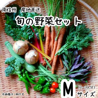 ふるさと納税 飯田市 旬の野菜セット詰め合わせ　Mサイズ 2〜3人分