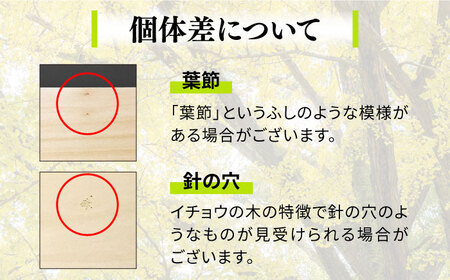 【2024年6月下旬〜発送】【においが残らずお手軽】イチョウ まな板 (孫) 4 / 南島原市 / 森永材木店 [SBK007]