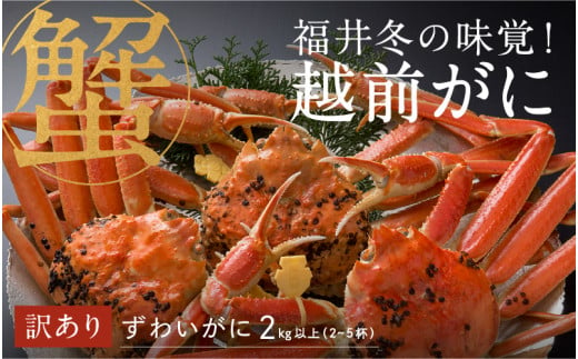 【選べる容量！産地直送】先行予約！福井の冬の王様！【訳あり】越前がに 合計2kg以上（2～5杯）3～5人前 2024年11月15日以降発送 [M-00906] / ズワイガニ ズワイ蟹 ずわい蟹 ずわい 剥き身 脚 爪 脚 かにしゃぶ カニ鍋 蟹 お歳暮 カニ かに