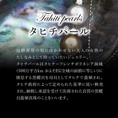 ふるさと納税 大分市 タヒチ黒真珠ピアス 真珠10mm 14Kホワイトゴールド_R14115 |  | 01