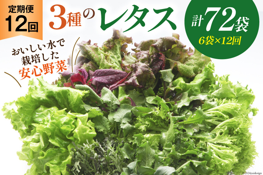 
【12回定期便】富山のおいしい水で生産した安心野菜（6袋）[北陸機材 富山県 舟橋村 57050147] 野菜 野菜セット フラワーリーフ フリルレタス マルチレタス 水耕栽培 定期便
