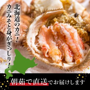 【配達地域限定】『冷蔵』朝茹で直送毛ガニ350g前後×6杯【520022】