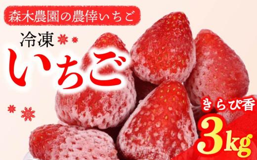 冷凍 いちご 苺 3kg以上 完熟 きらぴ香 ヘタ取り いちご 静岡 限定 苺 冷凍いちご きらぴ香 果物 スイーツ いちご 牧之原市 デザート フルーツ スイーツ アイス ジャム シャーベット ベリー 氷菓 冷凍 甘い オススメ ギフト 人気 牧之原市 森木農園