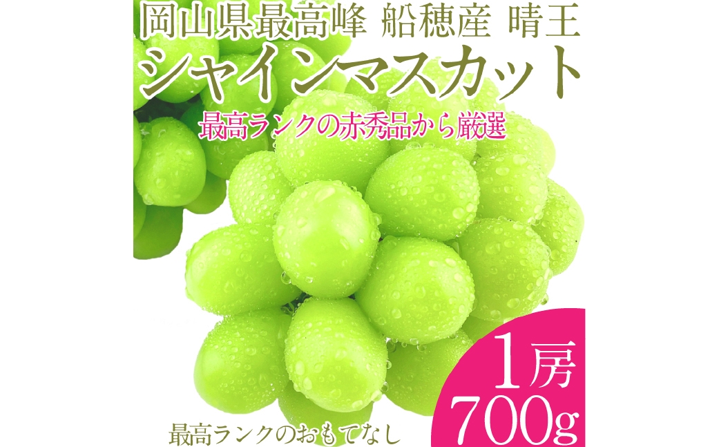 
             プレミアム シャインマスカット 晴王 1房 約700g 種無し  皮ごと食べる  フレッシュ  旬の美味しさ【2026年9月上旬-10月下旬 発送予定】【シャインマスカット マスカット ぶどう 葡萄 岡山県産   種無し 皮ごと食べる みずみずしい 9月～10月お届け フレッシュ 晴れの国おかやま 果物大国 贈答品 彩美菜果 岡山県 倉敷市】
          