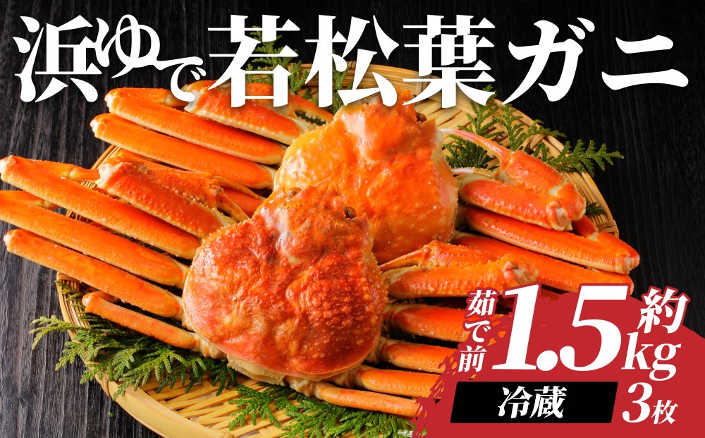 
            【先行予約】鳥取県岩美町特産 若松葉ガニ姿茹で 3枚セット【22043】
          