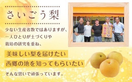 【期間限定発送】 梨 新興 6～7個 [農産物直売所 美郷ノ蔵 宮崎県 美郷町 31ab0134] なし ナシ 果物 くだもの フルーツ 美郷町産 ジューシー さいごう梨
