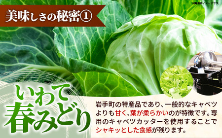 【キャベツの街】野菜たっぷり！しんいちろう餃子（12個入×6箱）【72個】  お肉 おかず やまと豚 肉 焼き 中華 人気 餃子 ギョーザ ぎょうざ ギョウザ 豚肉 おつまみ 惣菜