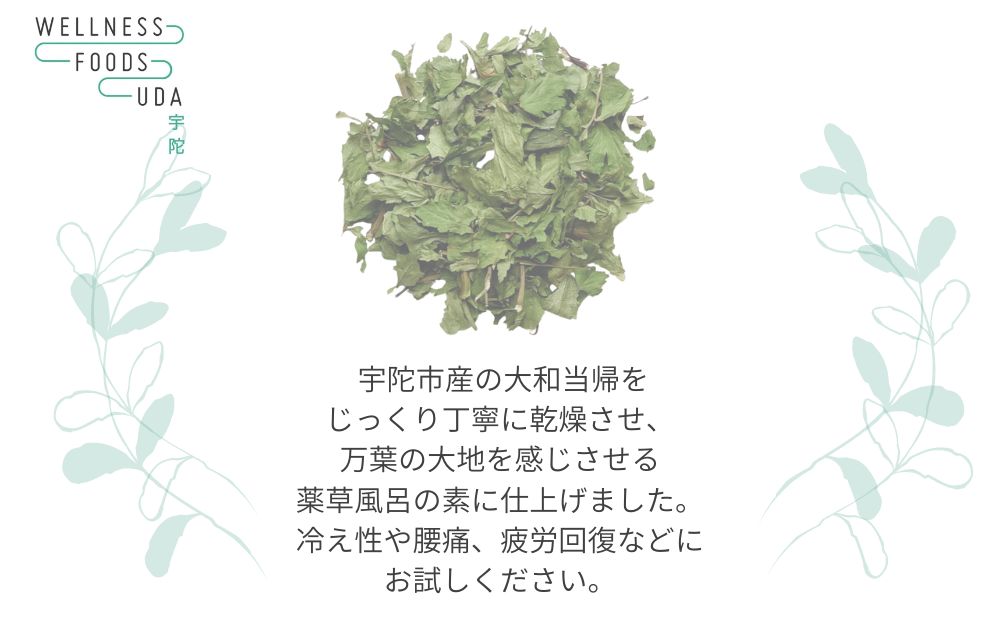 薬草のおふろ とうきかな 入浴剤 １箱(４包入×１個) /ウェルネスフーズ UDA 大和 当帰 ふるさと納税 おすすめ リラックス ストレス解消 ボディケア 肌荒れ 改善 疲労回復 送料無料 奈良 宇