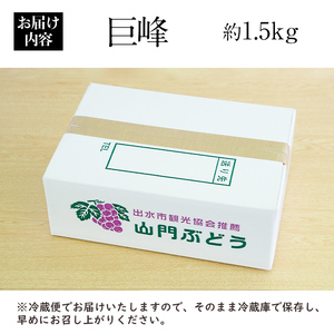 i1168 ≪数量・期間限定≫巨峰 (計約1.5kg)  ぶどう 果物 くだもの 巨峰 葡萄 旬 歯ごたえ 冷蔵 フルーツ 鹿児島県産 出水市 【山門ぶどう園】