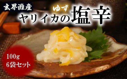 
【玄界灘産】自家製ヤリイカのゆず塩辛＜食べきりサイズ＞たっぷり100g×6パック[F4467]
