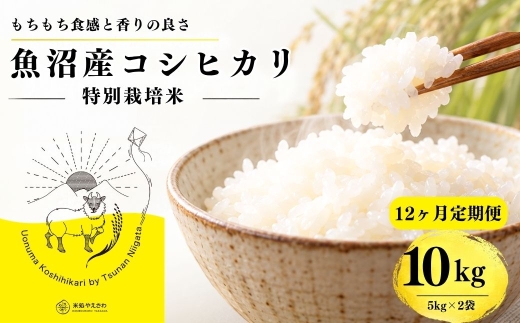 【12ヶ月定期便】【令和8年産 コシヒカリ】魚沼産コシヒカリ 特別栽培米 10kg(5kg×2袋) | 新潟県産コシヒカリ 魚沼産こしひかり 米 お米 こしひかり 白米 精米 ブランド米 津南町 米処やえざわ