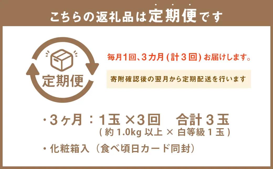 【3ヶ月定期便】静岡県産 高級 アローマメロン 白等級 1玉 約1.0kg以上×1玉×3回 計約3.0kg以上 化粧箱入 果物 フルーツ メロン めろん 青肉 高級ブランドメロン ブランドメロン 高級