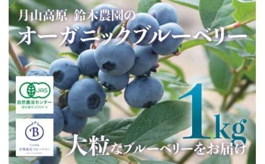 
            令和7年産　月山高原のオーガニックブルーベリー(大粒1kg)　K-758
          