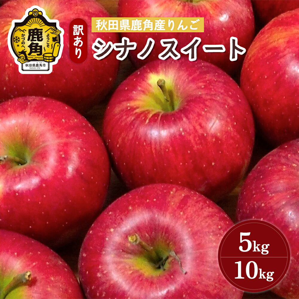 【ふるさと納税】《 先行予約 》 りんご 訳あり シナノスイート 5kg / 10kg 鹿角りんご 家庭用 食感 果汁 リンゴ 完熟 旬 県産 りんご お中元 お歳暮 贈り物 グルメ ギフト 故郷 秋田 あきた 鹿角市 鹿角 送料無料 【山麓園】