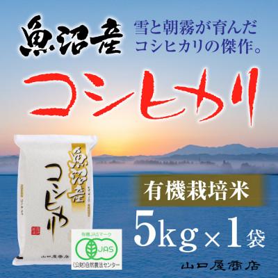 ふるさと納税 十日町市 【令和7年産】【厳選☆十日町育ち】“有機栽培米” 魚沼産コシヒカリ　5kg